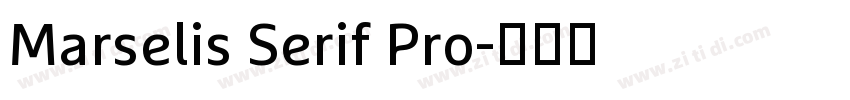 Marselis Serif Pro字体转换